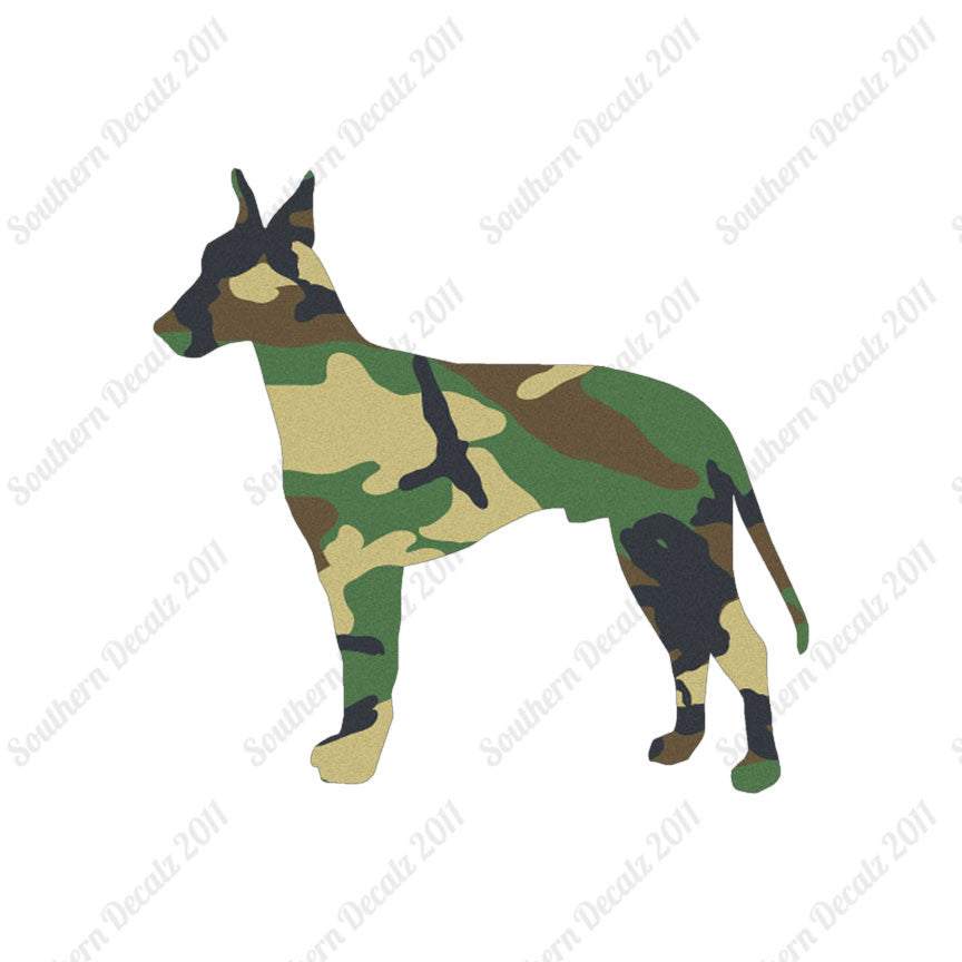 Manchester Terrier Dog Breed