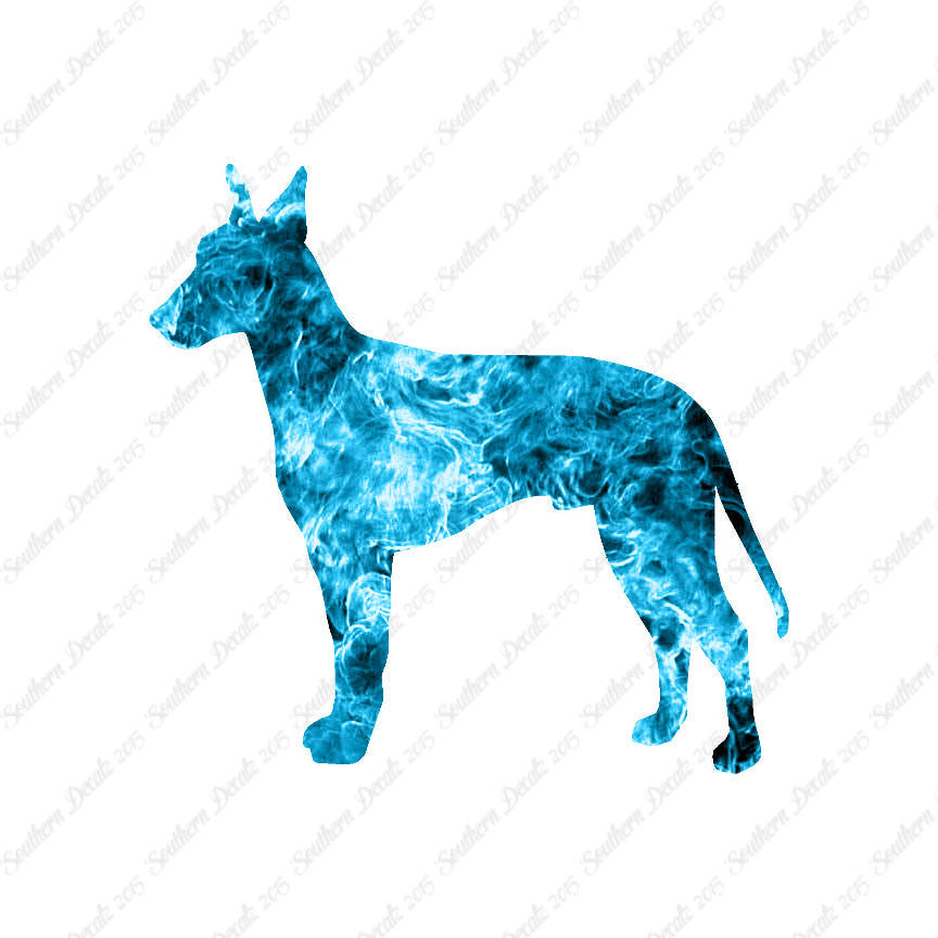 Manchester Terrier Dog Breed