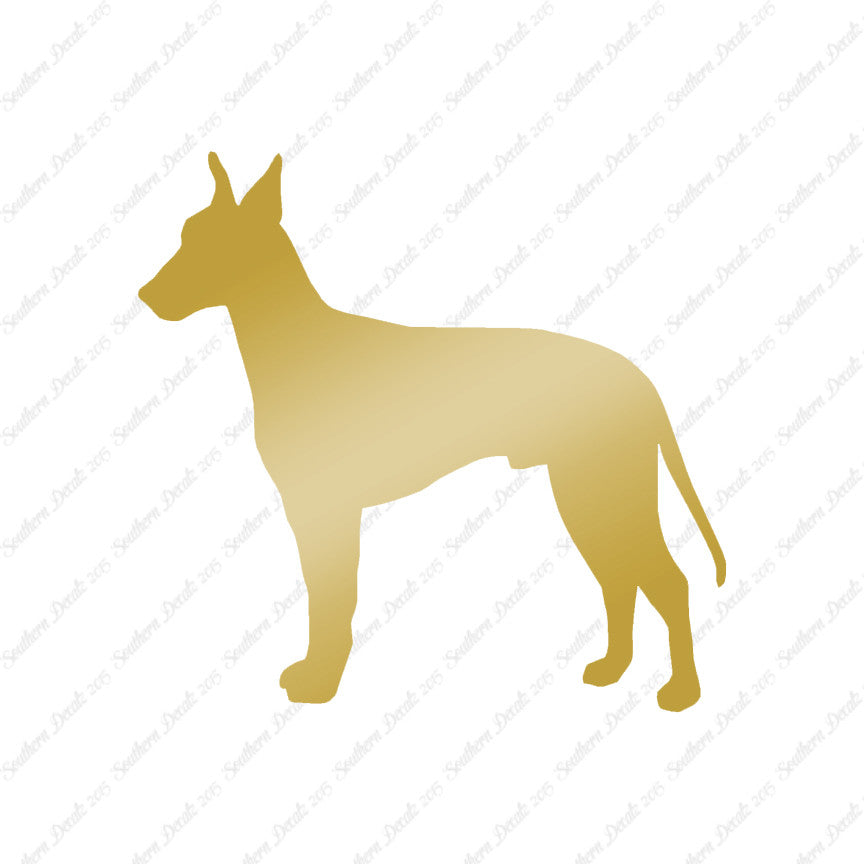 Manchester Terrier Dog Breed