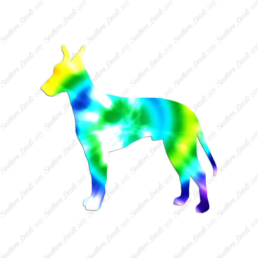 Manchester Terrier Dog Breed