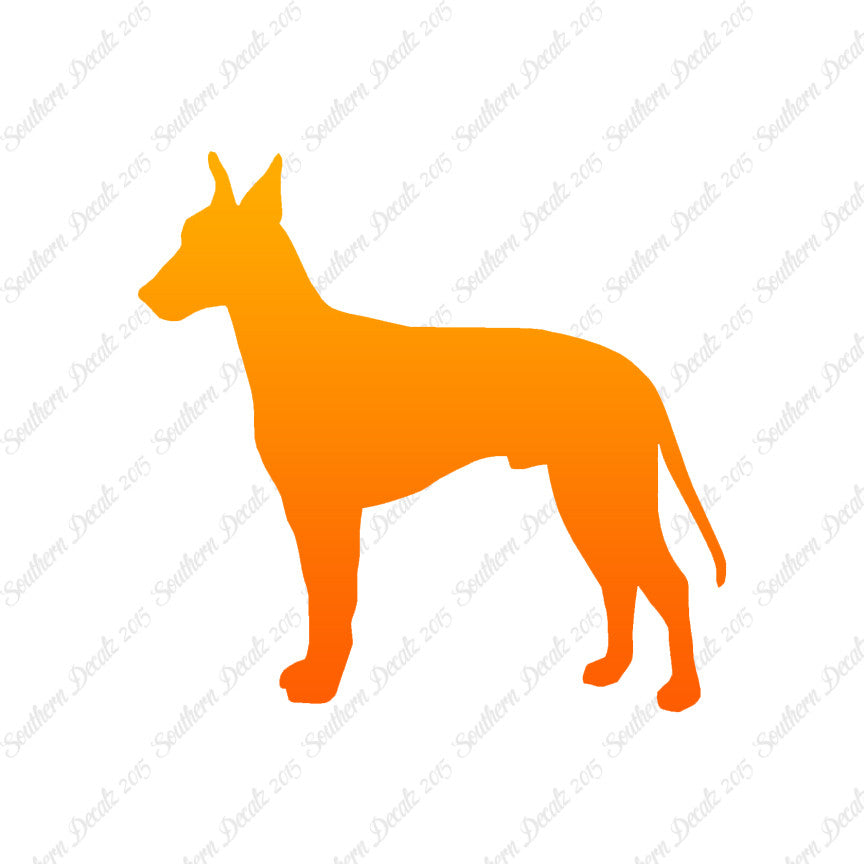 Manchester Terrier Dog Breed