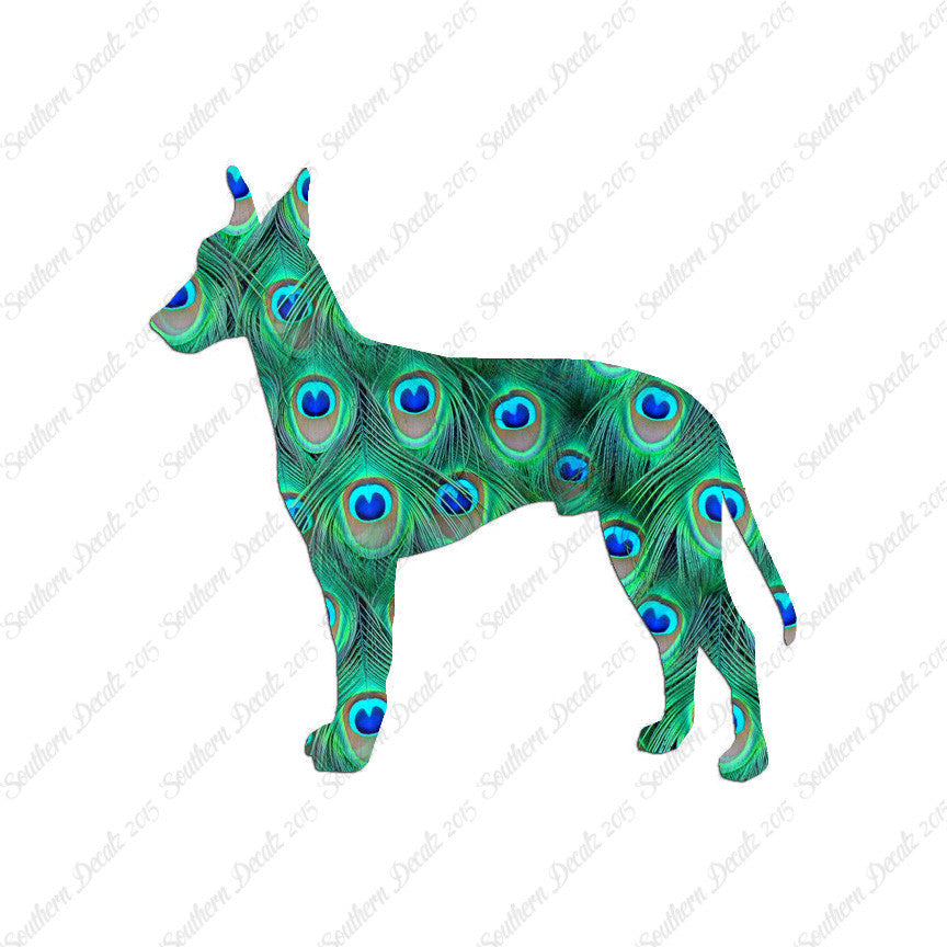 Manchester Terrier Dog Breed