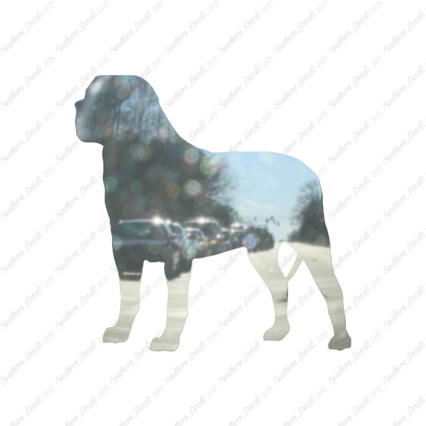 Mastiff Dog Breed