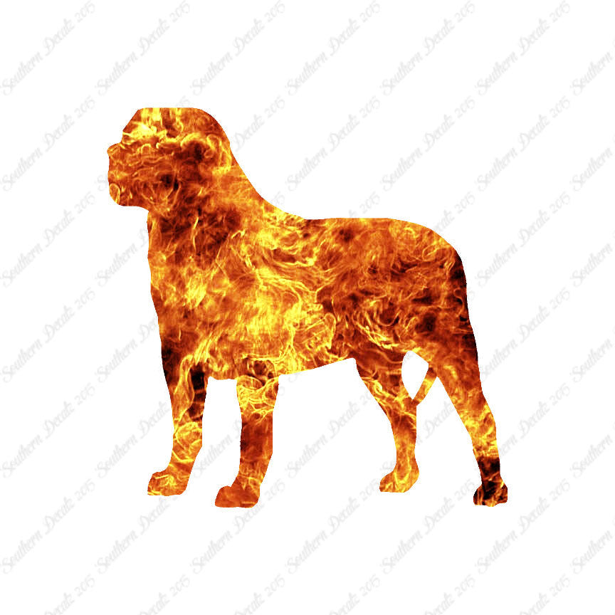 Mastiff Dog Breed