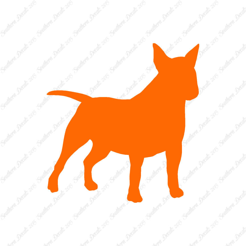 Miniature Bull Terrier Dog Breed