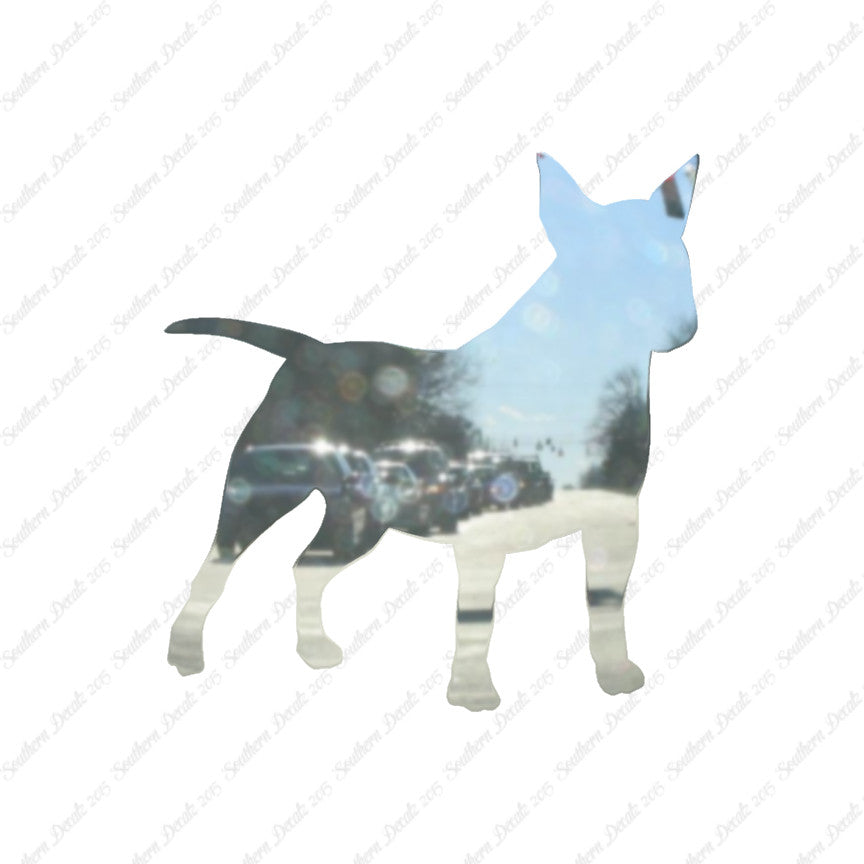 Miniature Bull Terrier Dog Breed