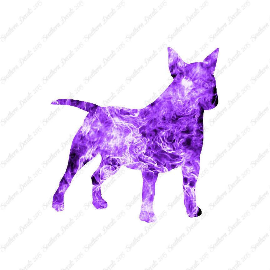 Miniature Bull Terrier Dog Breed