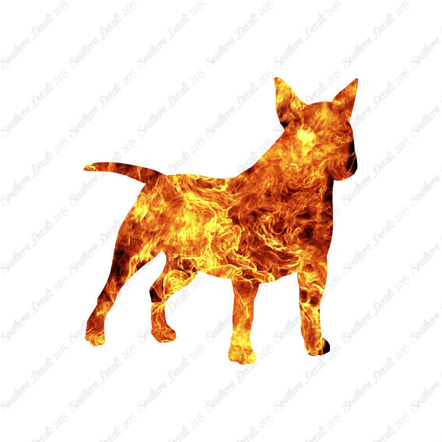 Miniature Bull Terrier Dog Breed