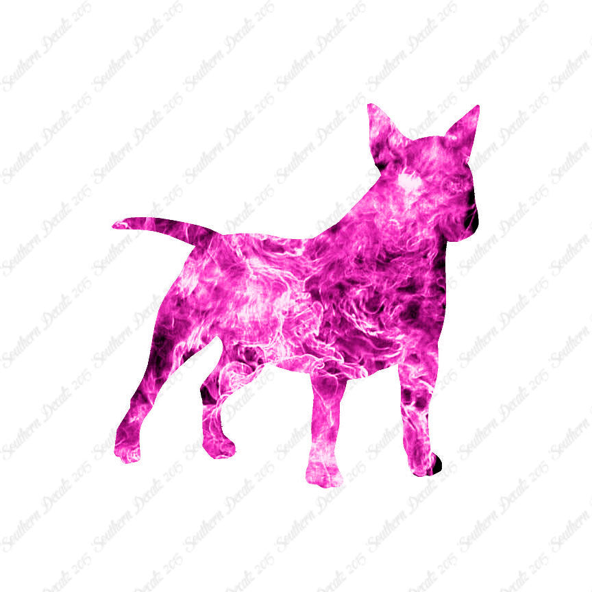 Miniature Bull Terrier Dog Breed