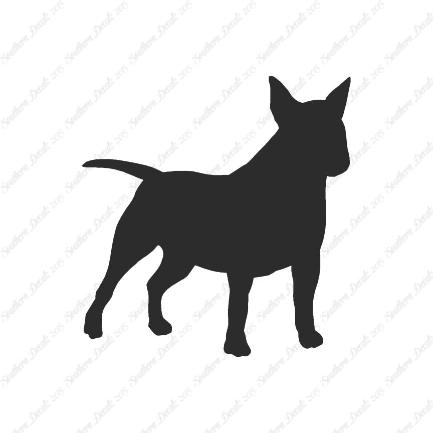 Miniature Bull Terrier Dog Breed