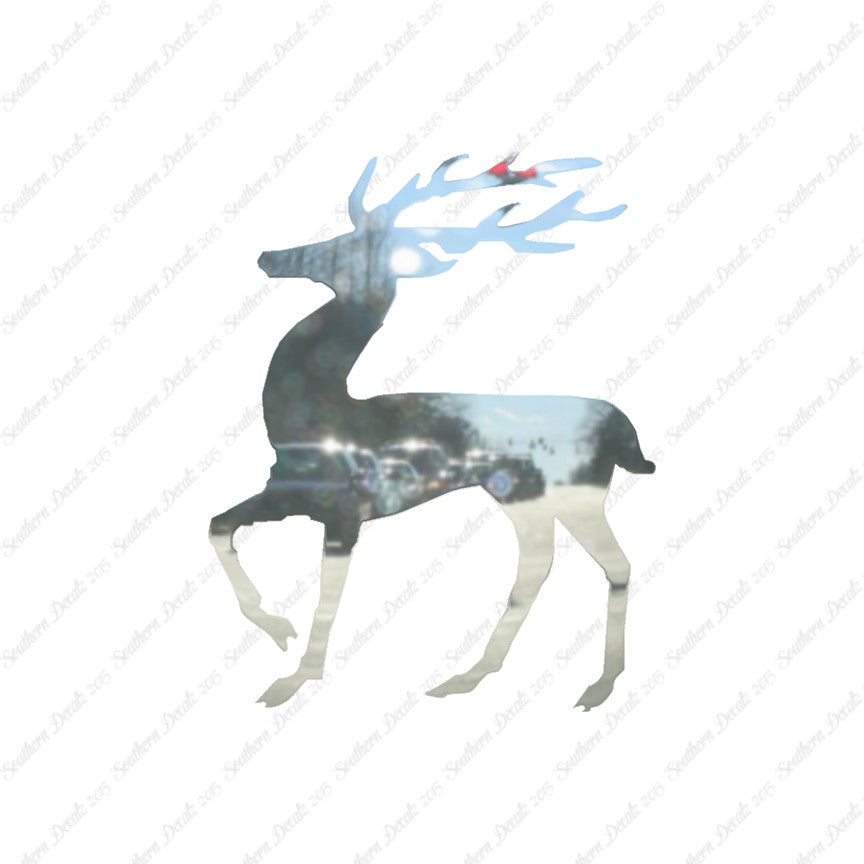 Deer Elk Buck