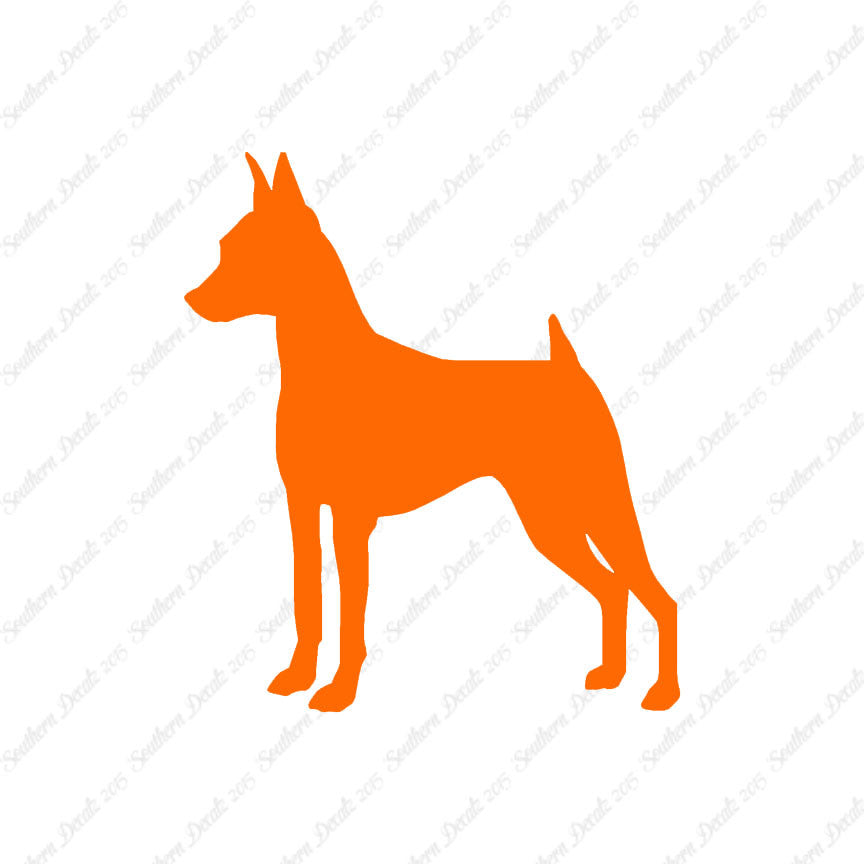 Miniature Pinscher Dog Breed