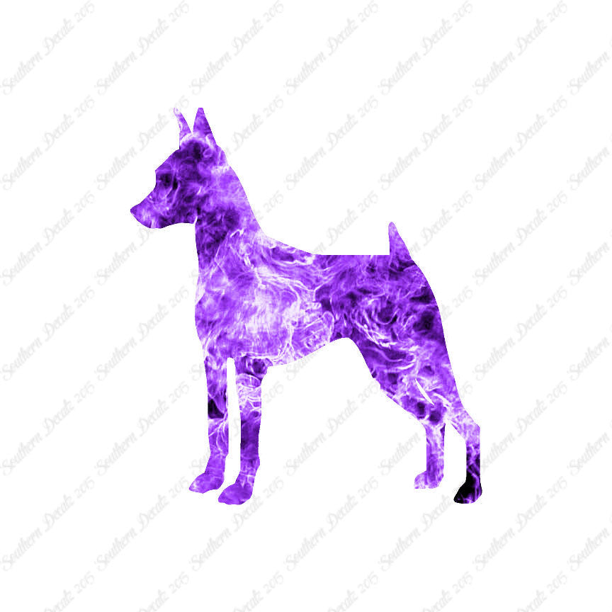 Miniature Pinscher Dog Breed