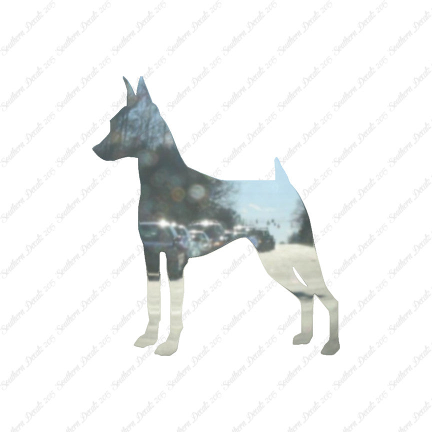 Miniature Pinscher Dog Breed