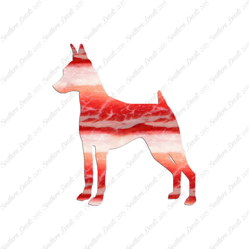 Miniature Pinscher Dog Breed