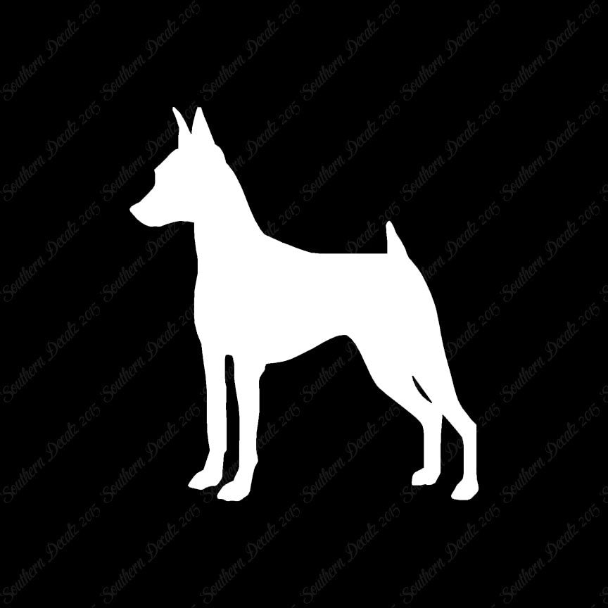 Miniature Pinscher Dog Breed