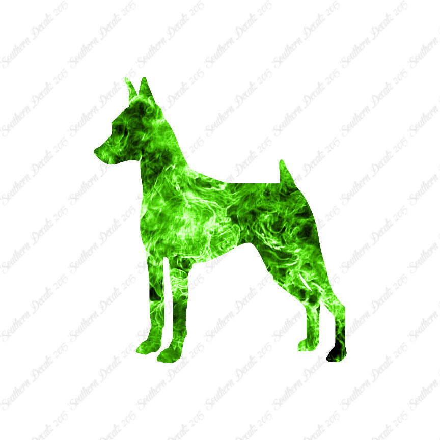 Miniature Pinscher Dog Breed