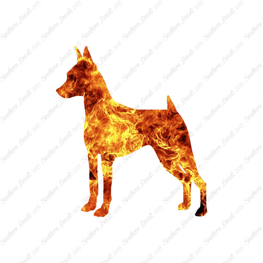 Miniature Pinscher Dog Breed
