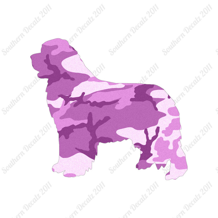 Newfoundland Dog Breed