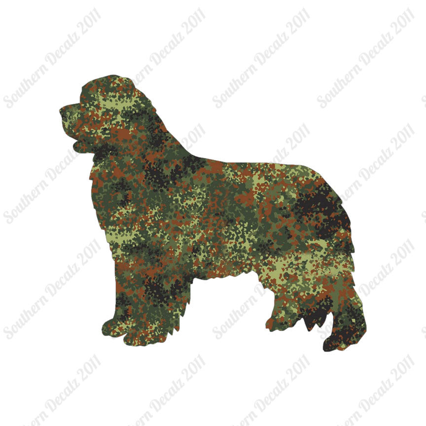 Newfoundland Dog Breed