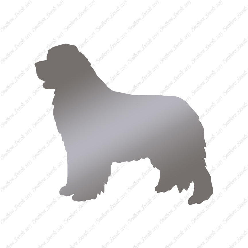 Newfoundland Dog Breed