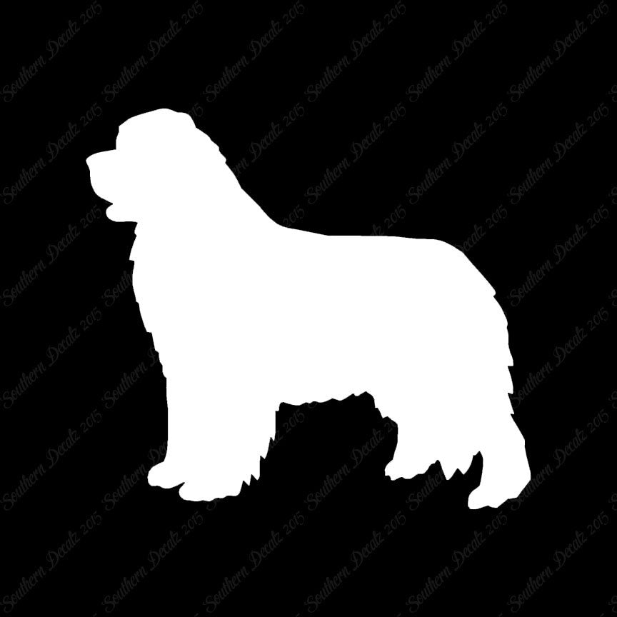 Newfoundland Dog Breed