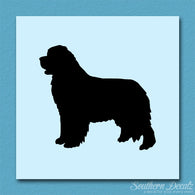 Newfoundland Dog Breed