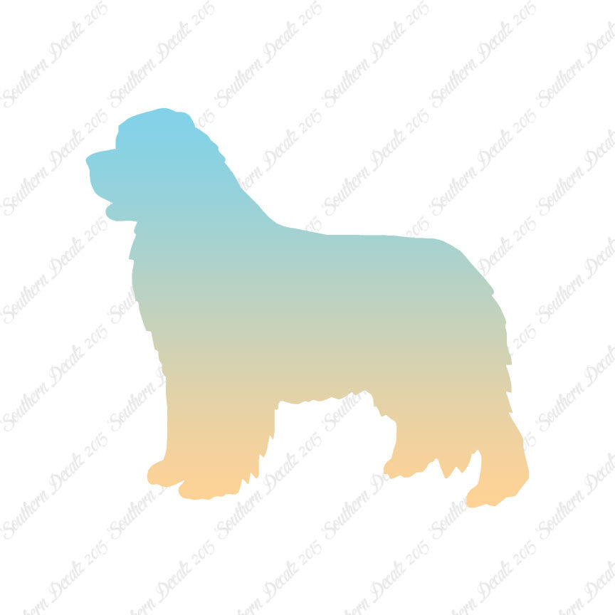 Newfoundland Dog Breed