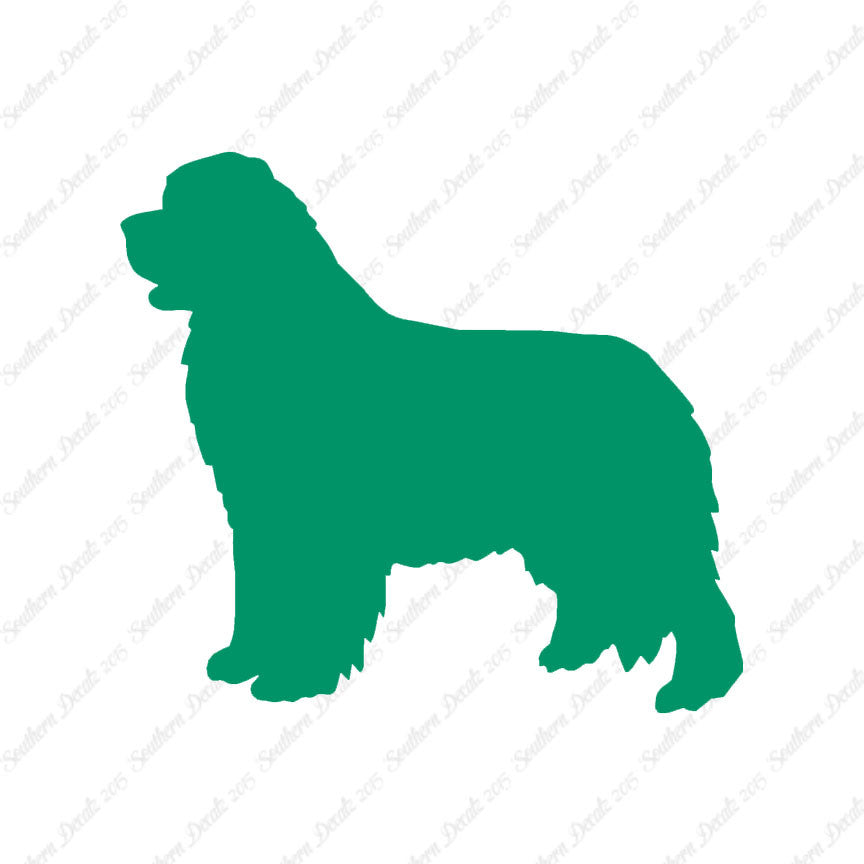 Newfoundland Dog Breed