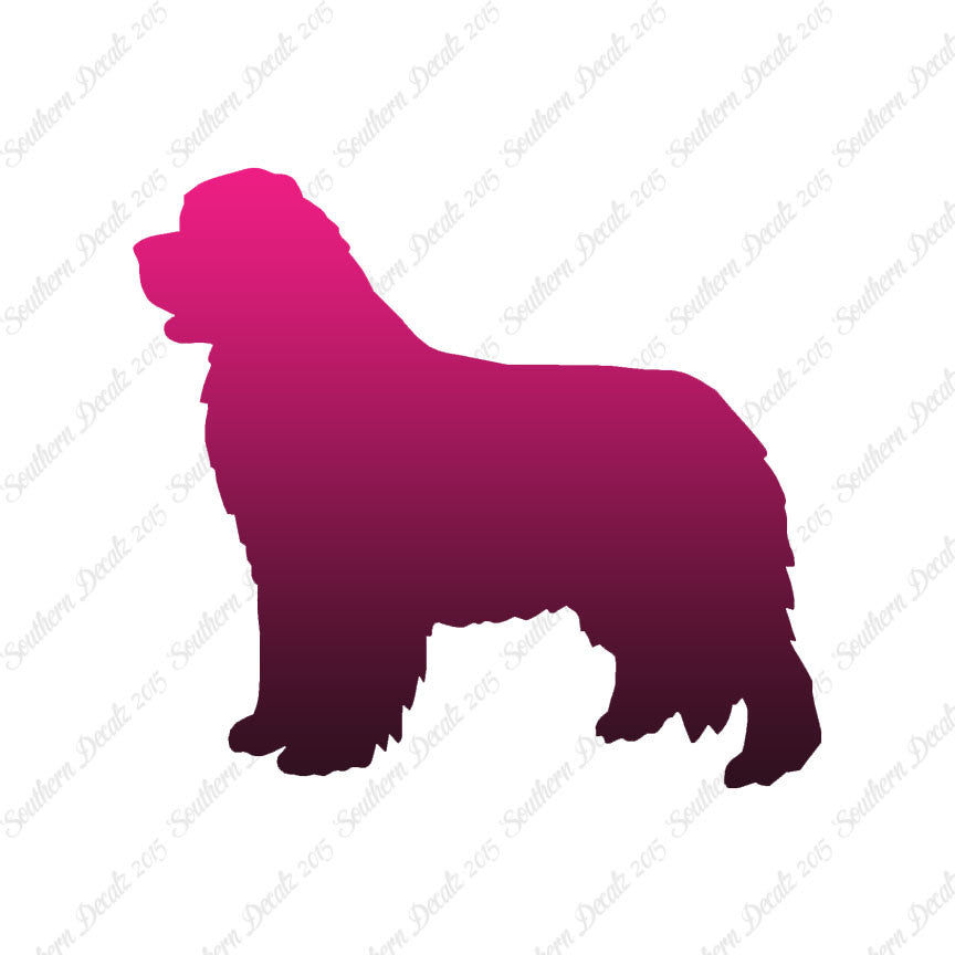 Newfoundland Dog Breed