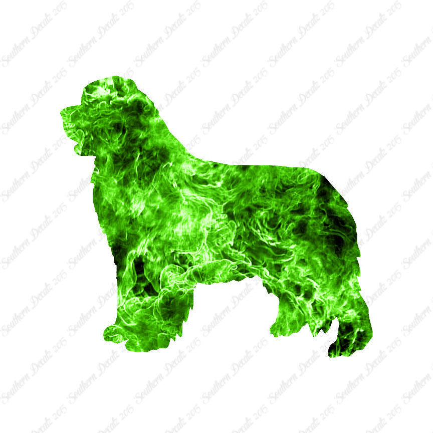 Newfoundland Dog Breed