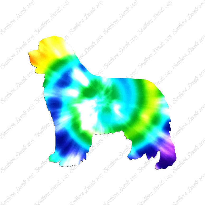 Newfoundland Dog Breed