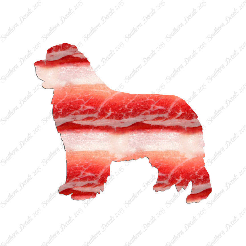 Newfoundland Dog Breed