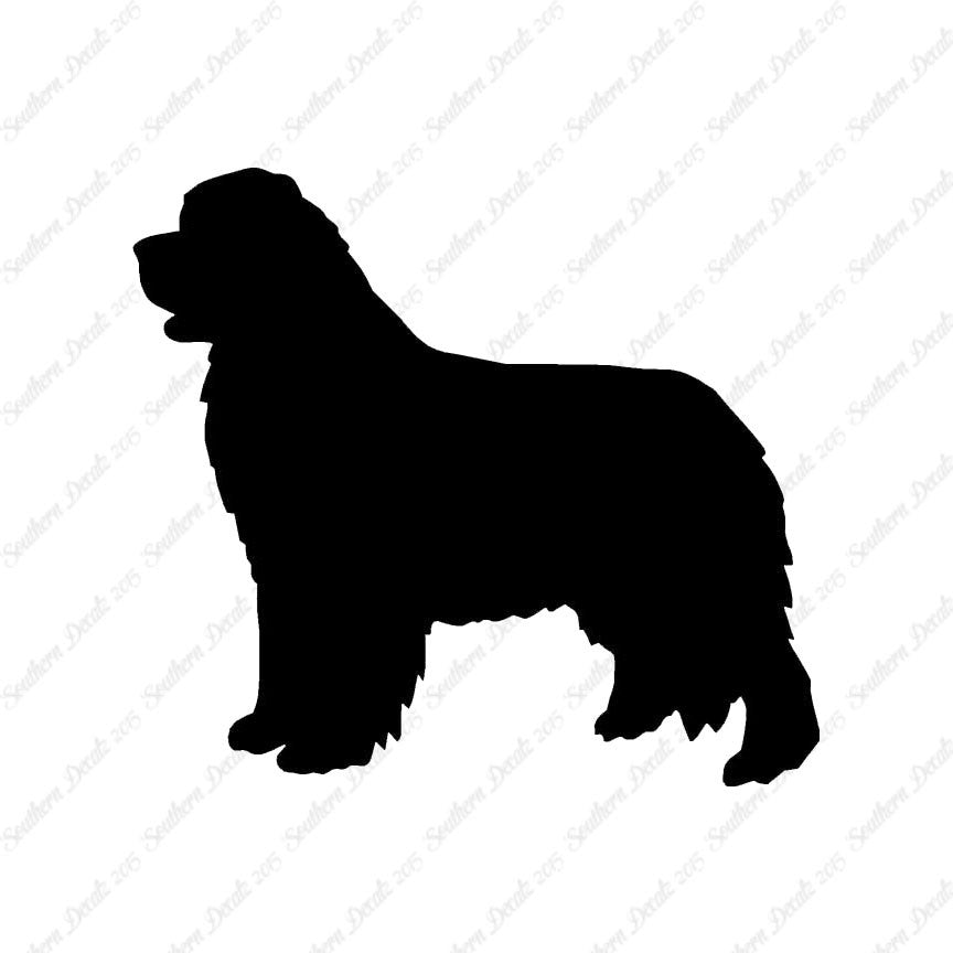 Newfoundland Dog Breed