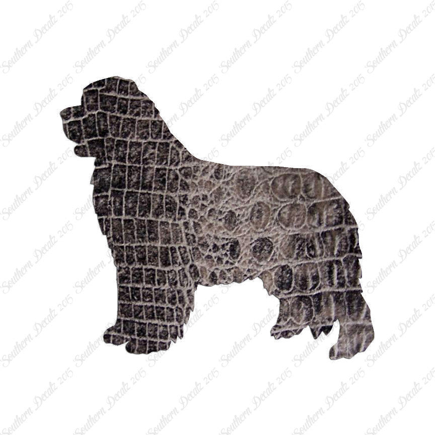 Newfoundland Dog Breed