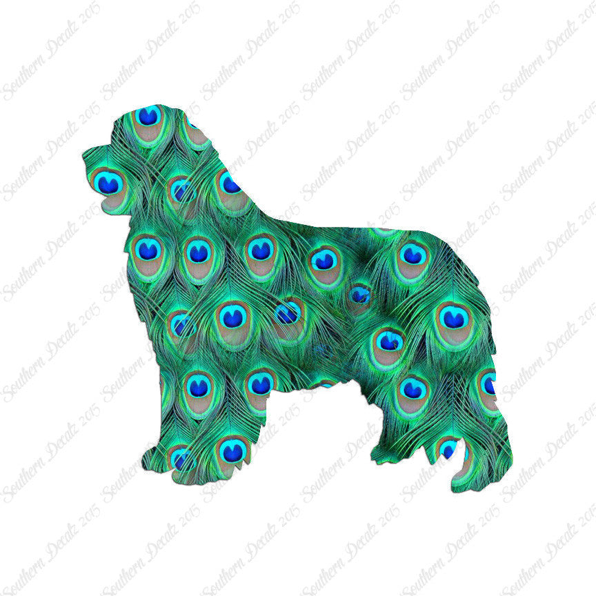 Newfoundland Dog Breed