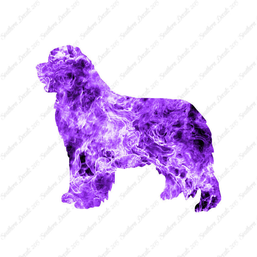 Newfoundland Dog Breed