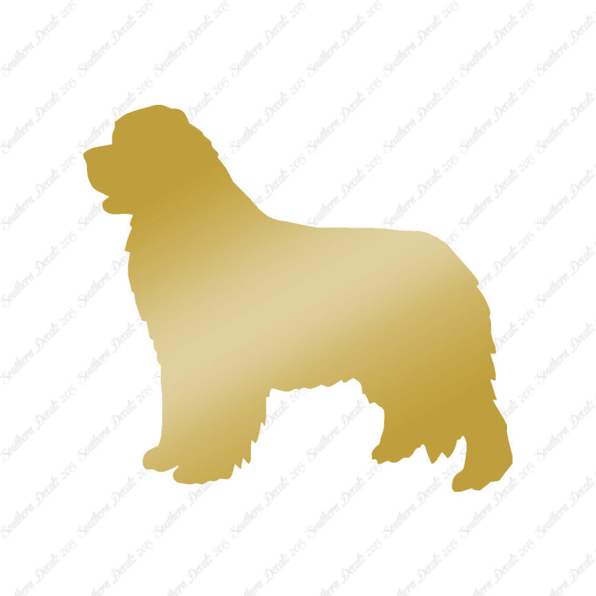 Newfoundland Dog Breed