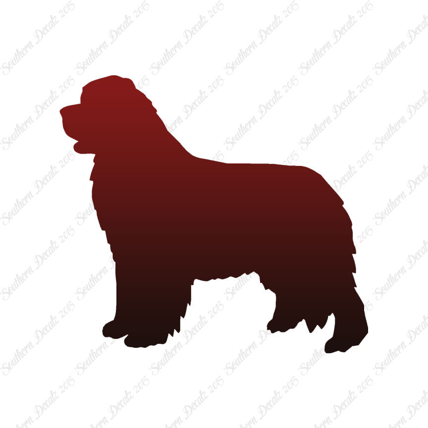 Newfoundland Dog Breed
