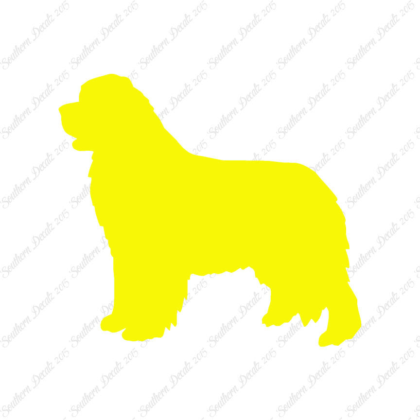 Newfoundland Dog Breed