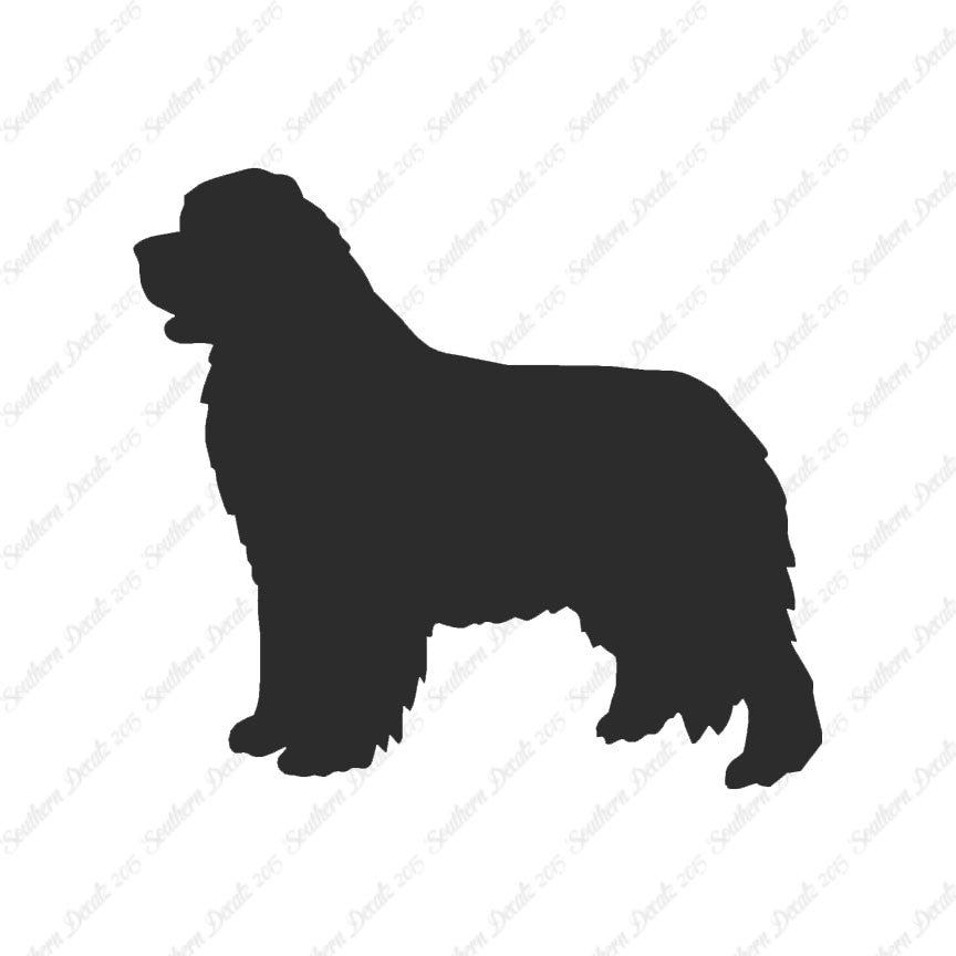 Newfoundland Dog Breed