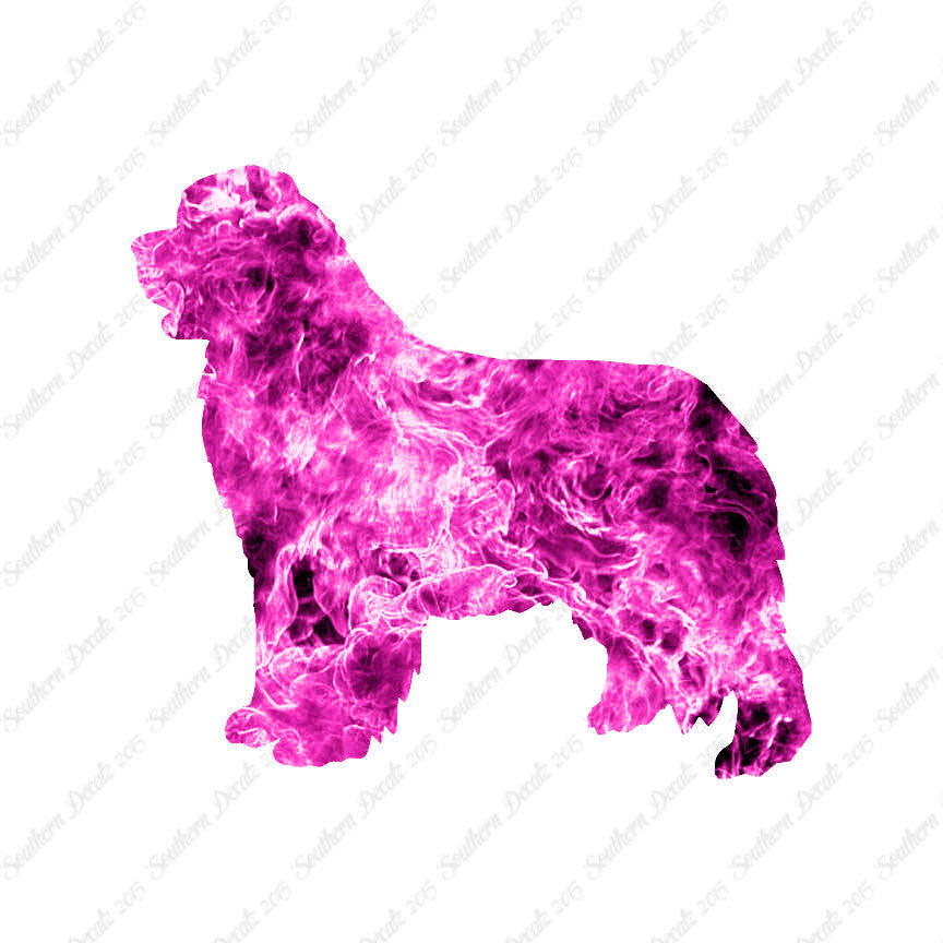 Newfoundland Dog Breed