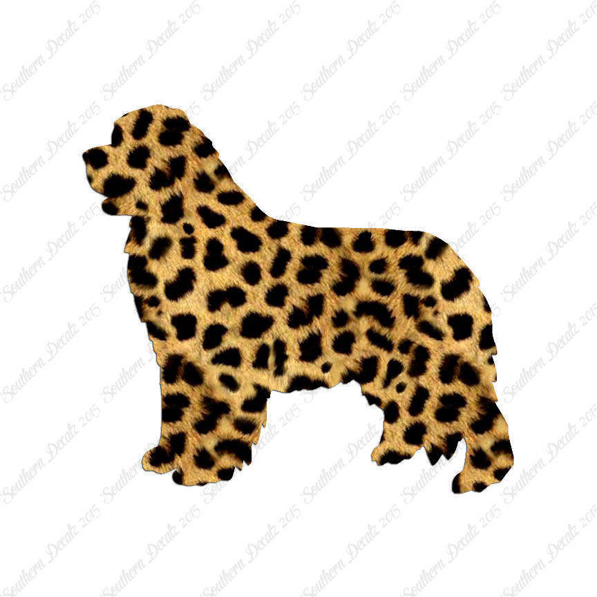 Newfoundland Dog Breed