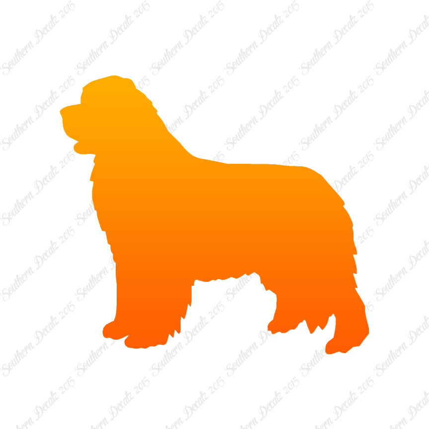 Newfoundland Dog Breed