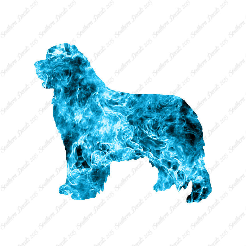 Newfoundland Dog Breed