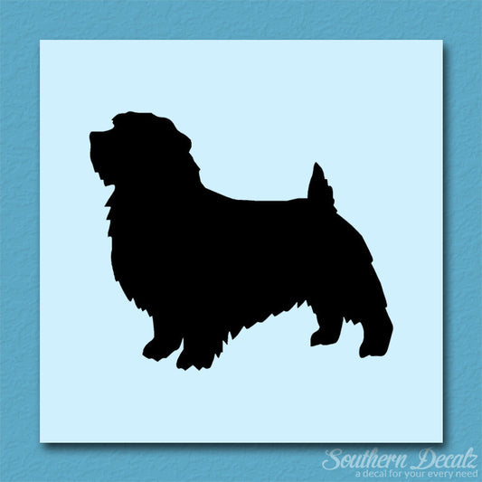 Norfolk Terrier Dog Breed