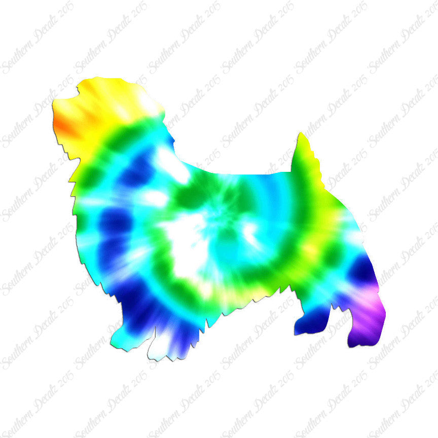 Norfolk Terrier Dog Breed