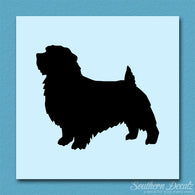 Norfolk Terrier Dog Breed