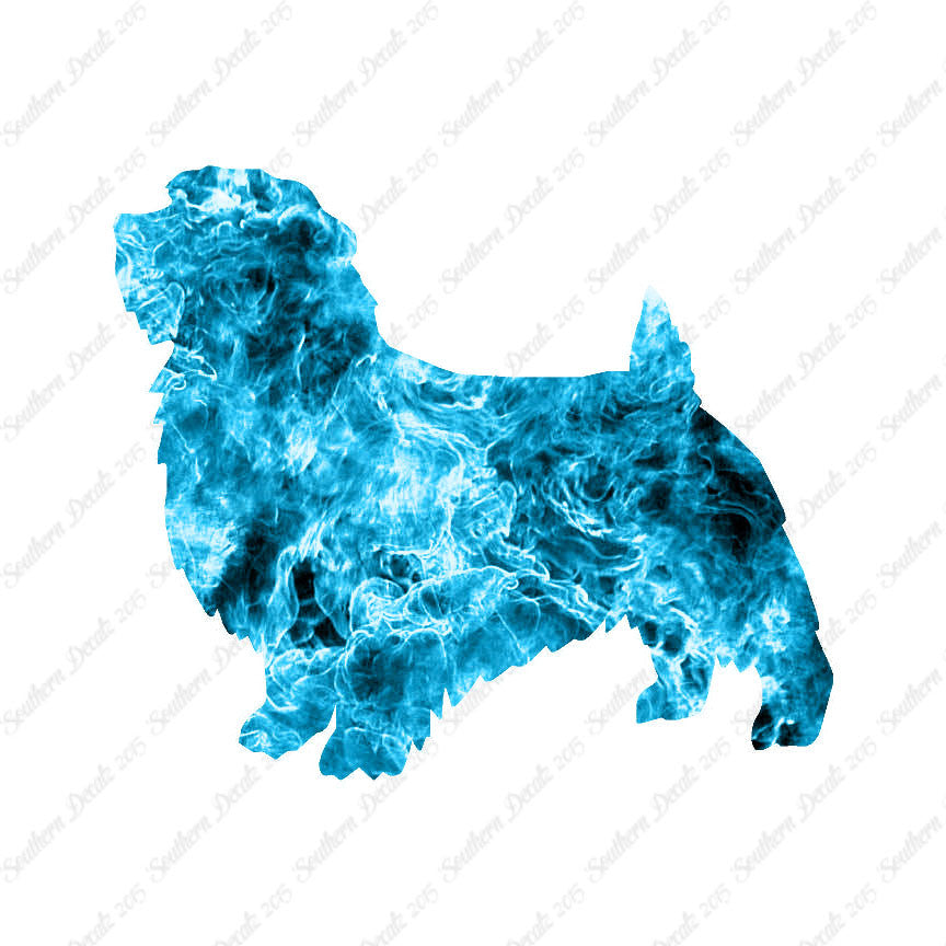 Norfolk Terrier Dog Breed