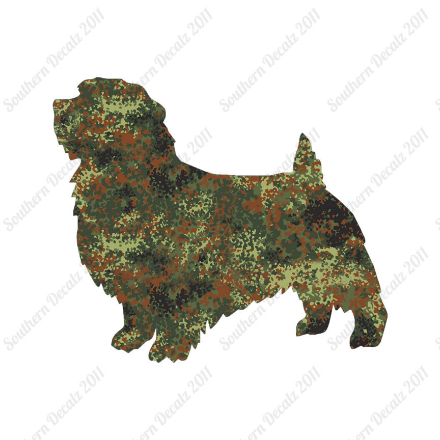 Norfolk Terrier Dog Breed